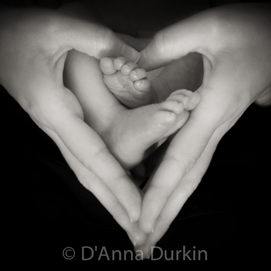 Baby's 1st Year - mini