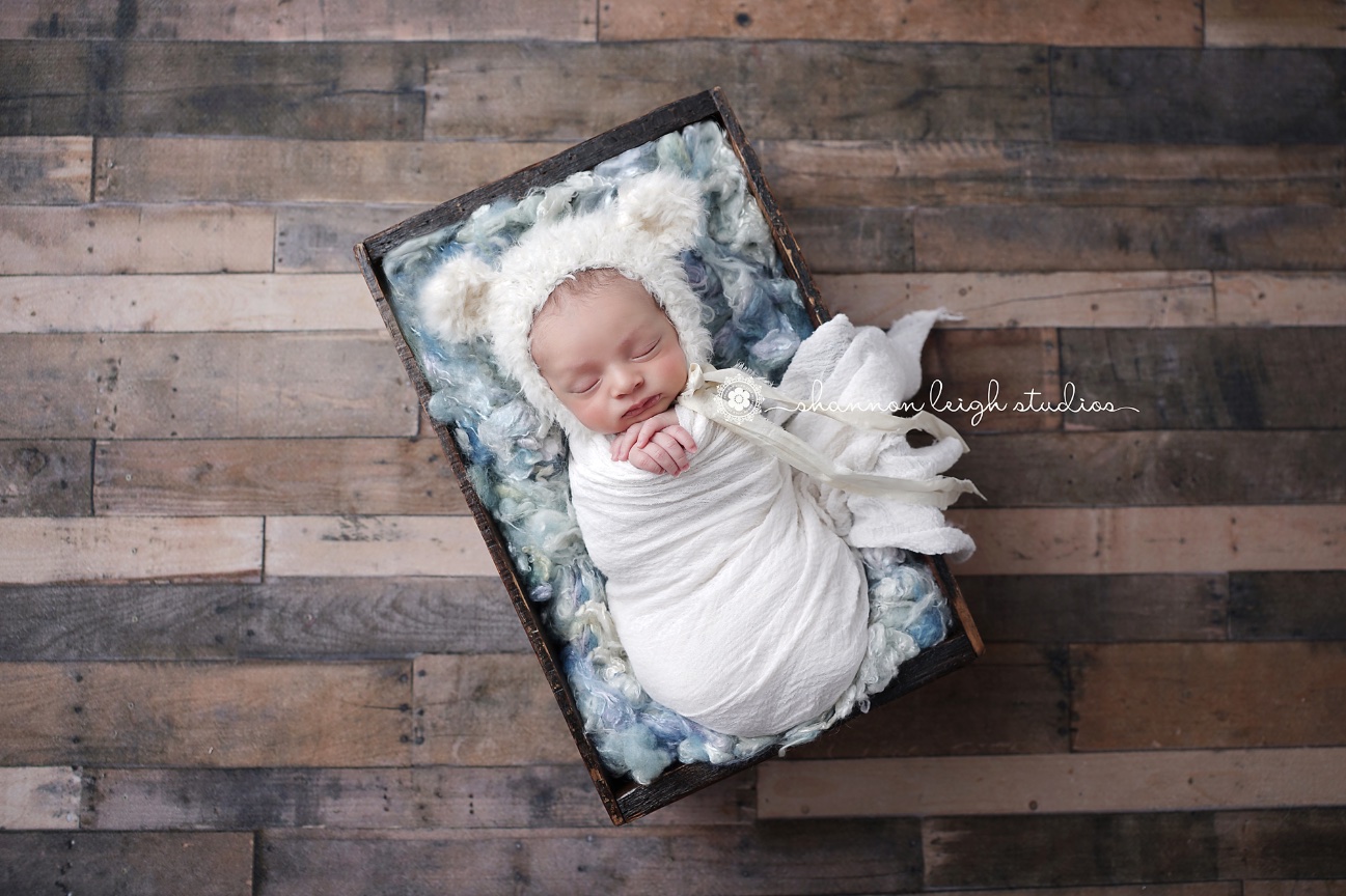 Newborn Photography Workshops - Private Mentoring with Shannon Leigh Studios
