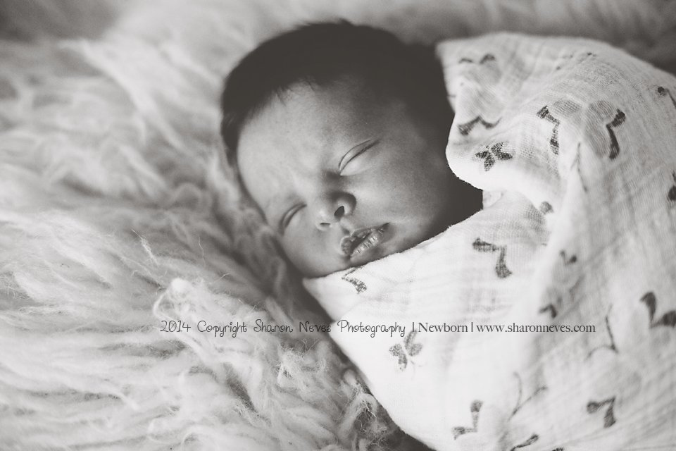 Lely Newborn {Sonoma Newborn Photographer}