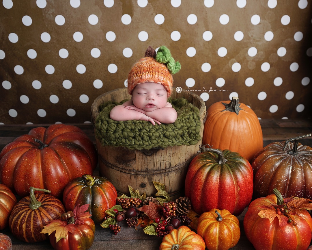 Handsome Lucas - Gainesville Newborn Baby Photographer 