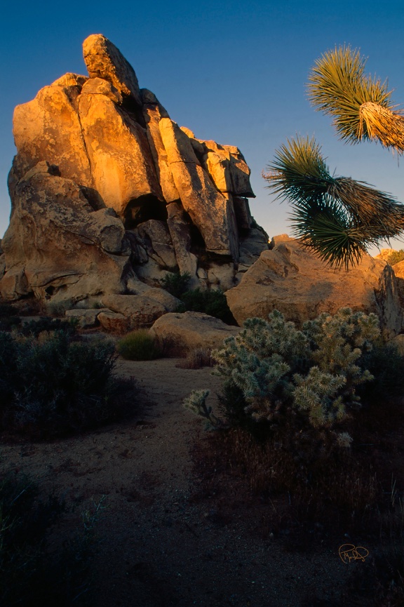 Moody Monolith 20x30/Custom