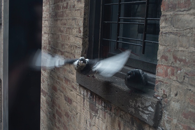 2024 TODOS SANTOS, BCS, WEEK 4