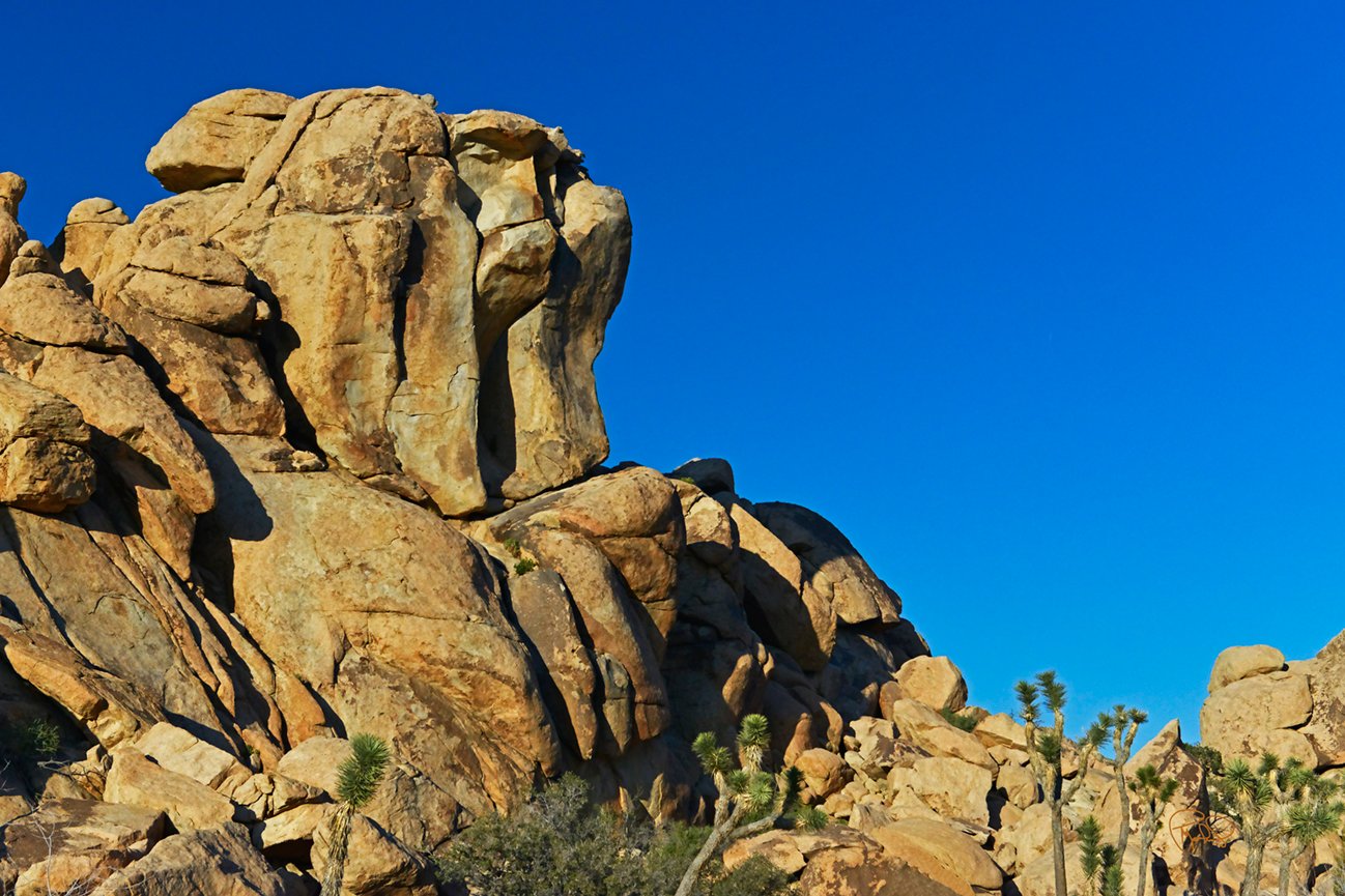 Out The Back 20x30 / 26x40 / Custom