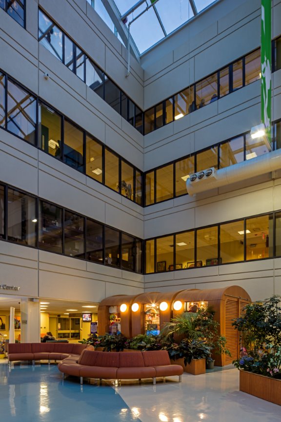 Main Lobby Atrium - TWINE ARCHITECTURAL STUDIO