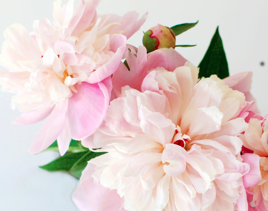 It's Time To Update Your Headshot