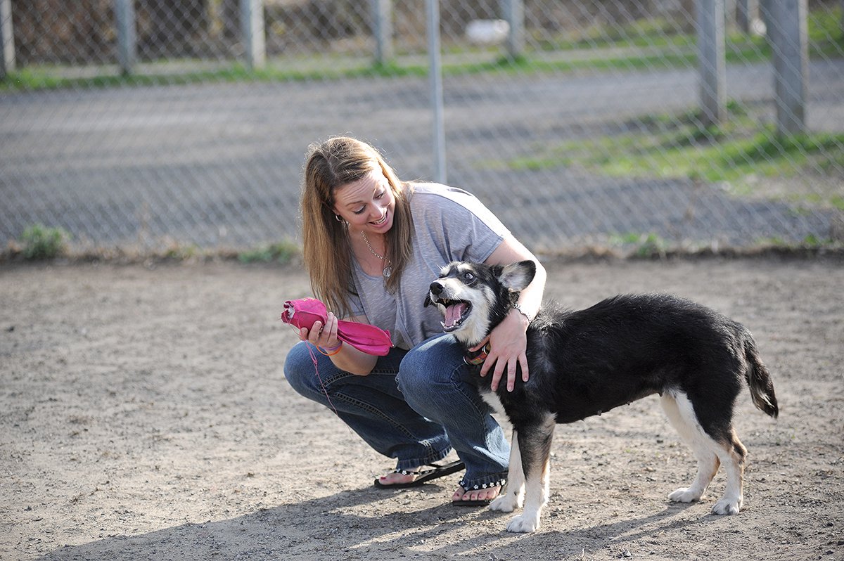 photo of dog smiling because of rescue