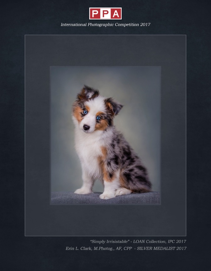 2019 - Year Review! Part 3