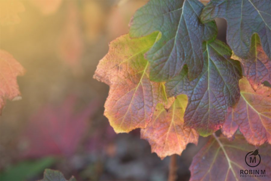 5 Reasons to Update Portraits