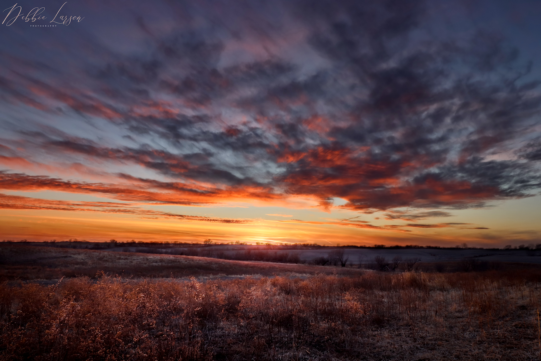 Iowa Farm landscape sunset