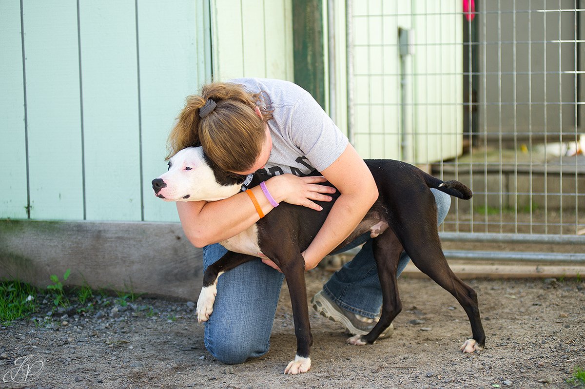 regional animal rescue dog rescue