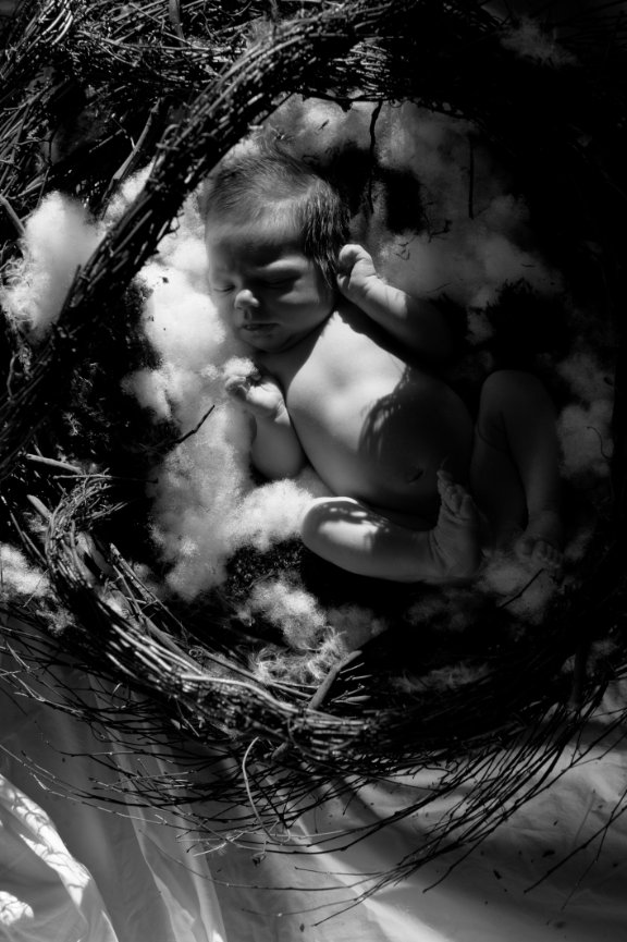 Baby Girl Newborn Portraits - Colorado