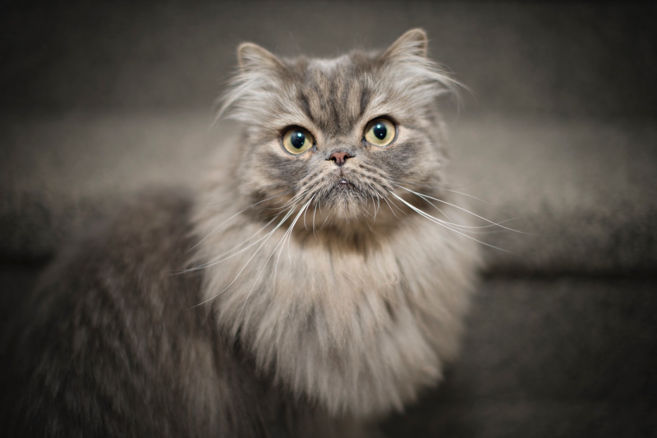 2024 TODOS SANTOS, BCS, WEEK 4