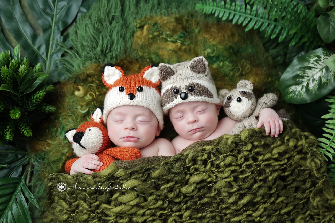 Handsome Kaden and Nathan - Smyrna Newborn Baby Twin Photographer 