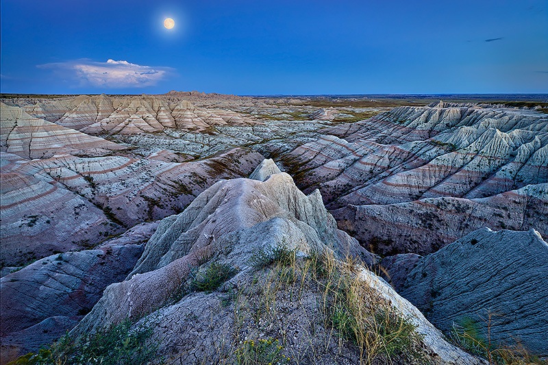 SEEING ART IN NATURE (09.03.2014)