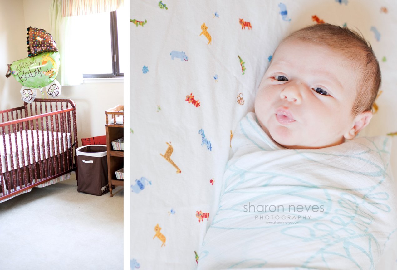 Braschler Newborn Session {Sonoma Newborn Photographer}