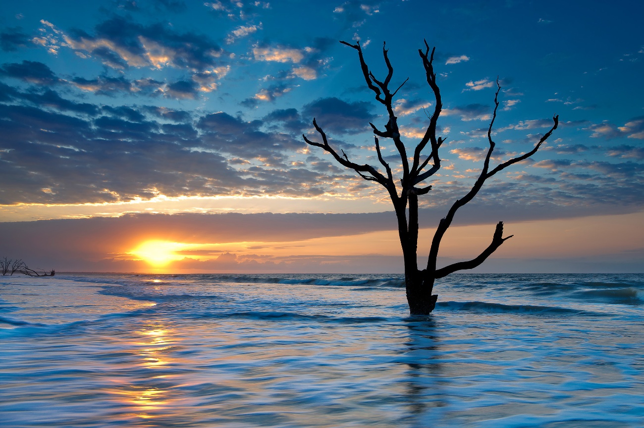 America the Beautiful