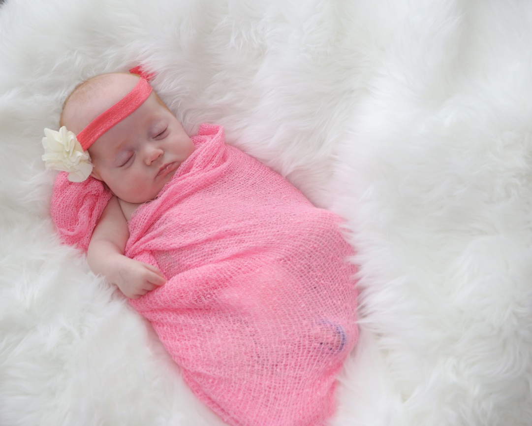 Newborn Portraits 