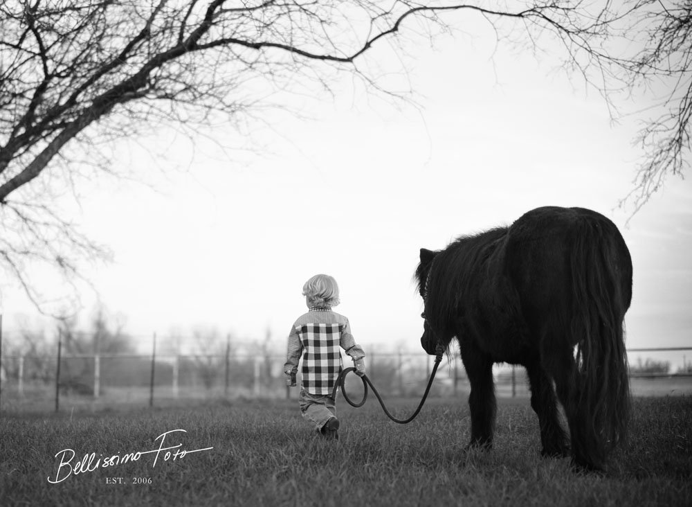 TheFrontStepsProject