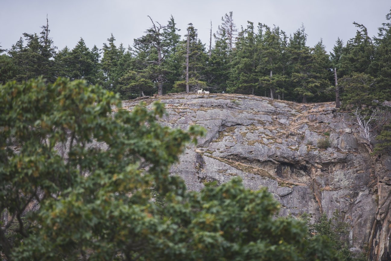 Stone Bridge Island Farm - Baylee + Kurt