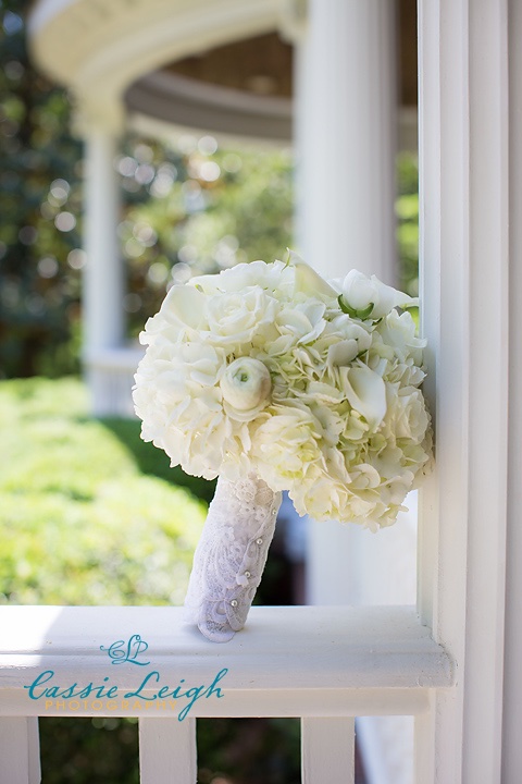 Brandon and Amanda,  Saratoga Springs NC Wedding Photographer