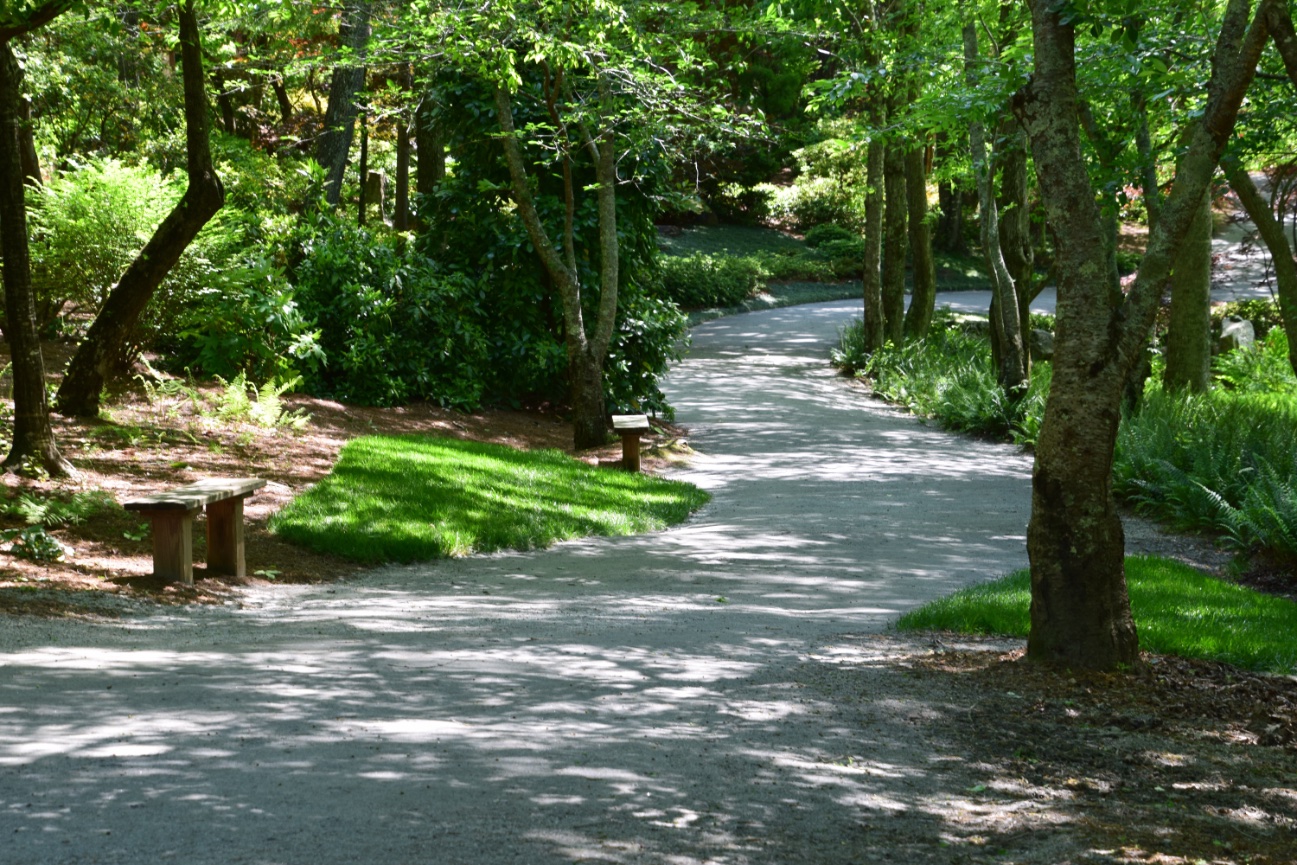 Project Signup Form (Aiken, SC)