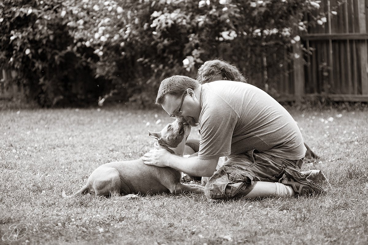 dog rescue, albany pet portrait photographer