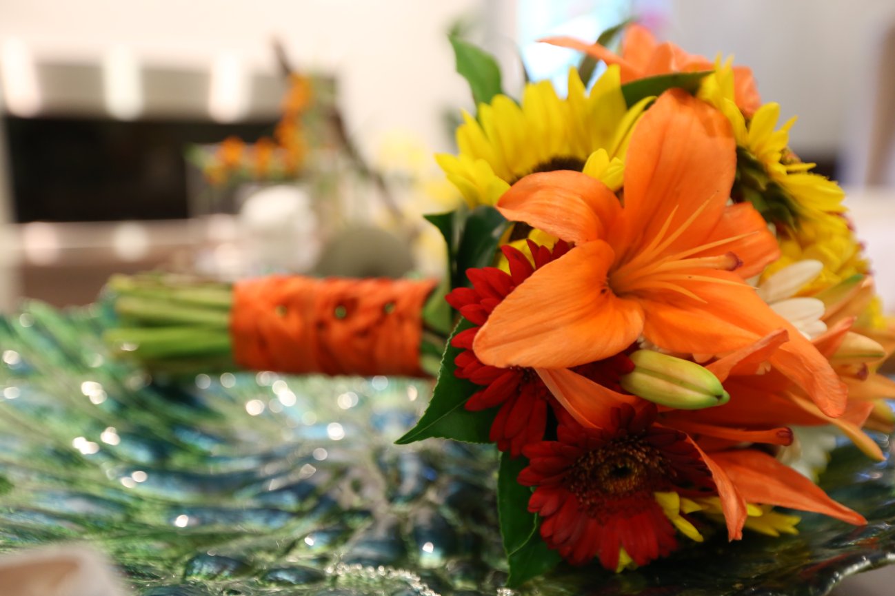 Cushing Park framingham MA -  Matthew and stephanie Engagement Photo Session 