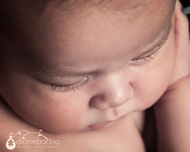 Corona Baby Photography