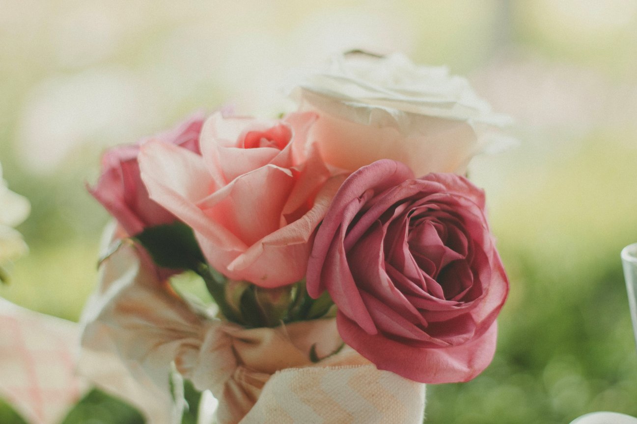 Franklin Wedding