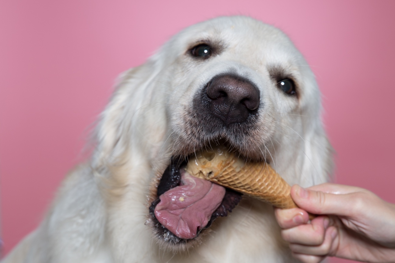 Her Photos Are Amazing!