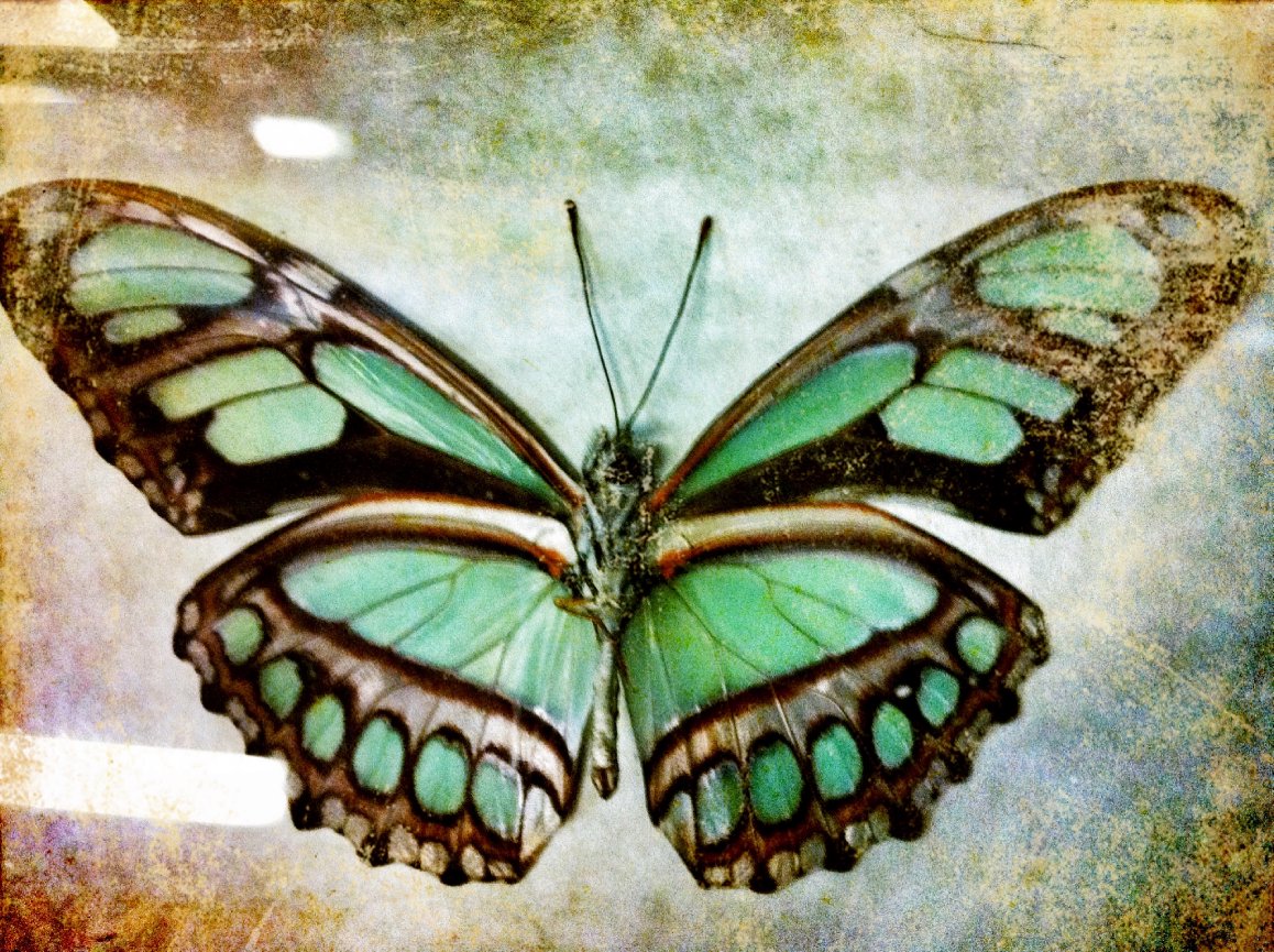 Make Your Wedding Special Part 3