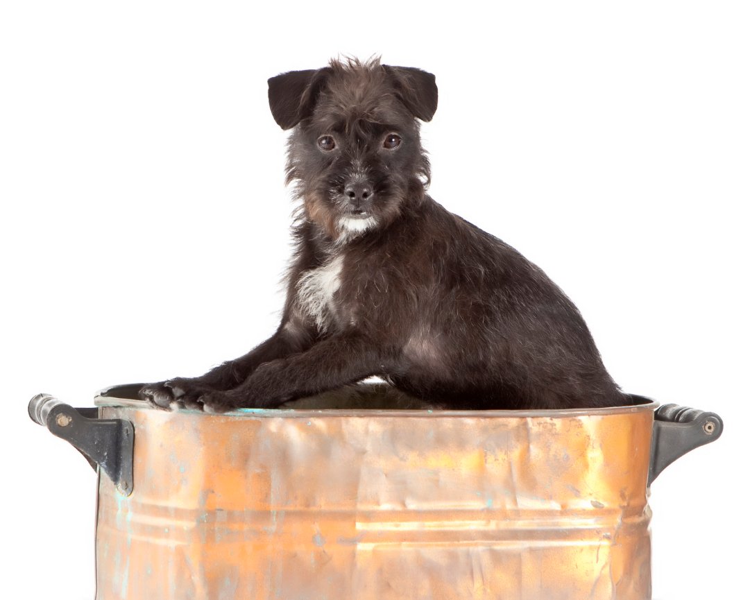 Puddin' Changing Lives!