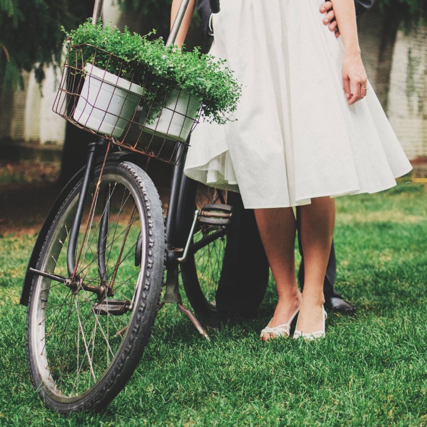 Franklin Wedding