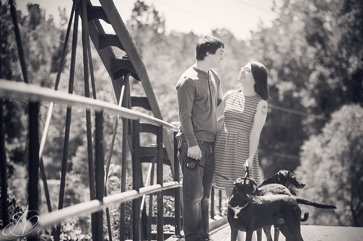 Couple on bridge photo, bridge engagement photo, Saratoga Engagement Photographer, Albany Engagement, Engagement photo and pet, vischer ferry nature preserve