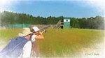 Teach a Man to Fish...Paragon Teaching Philosophy for Clay Targets and Wingshooting