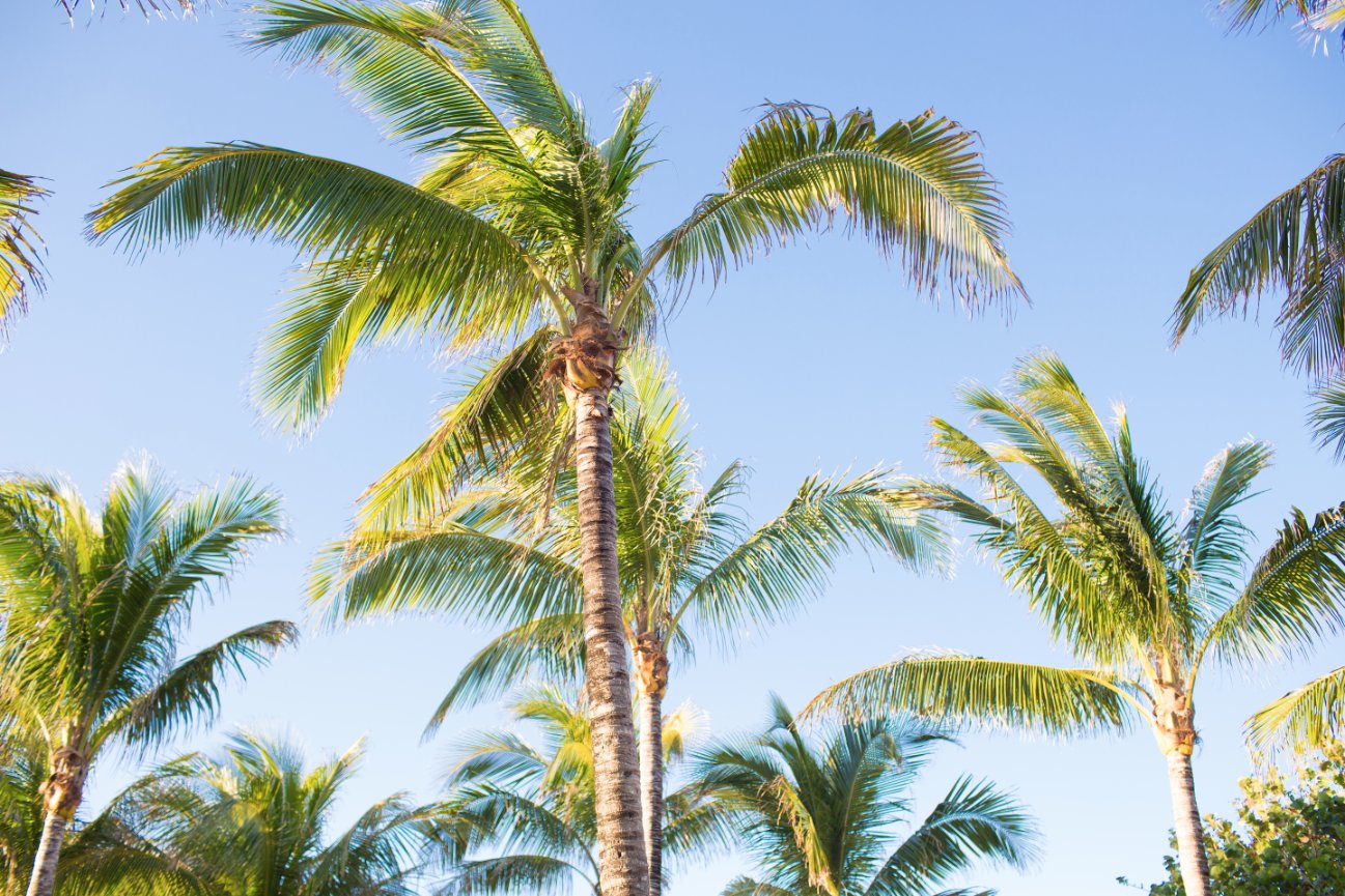 Fort Lauderdale Family Photographer - Mother & Daughters Beach Session