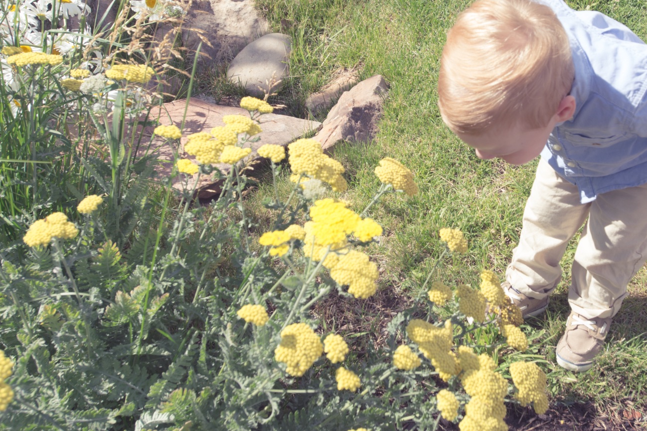 Finn Family Portraits - Avon, Colorado