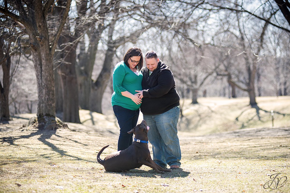 expecting mother and chocolate lab, maternity session washington park, maternity and pet portraits in washington park albany, albany maternity photographer, albany maternity photos