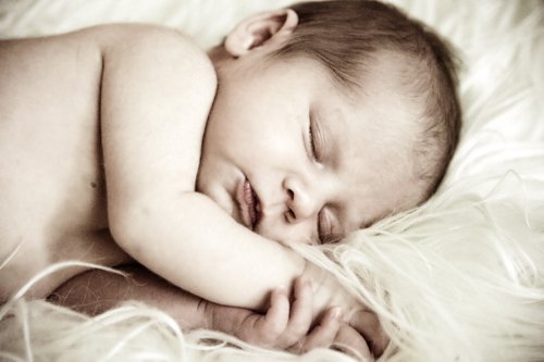 Baby Girl Newborn Portraits - Colorado