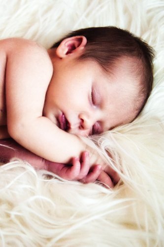 Baby Girl Newborn Portraits - Colorado