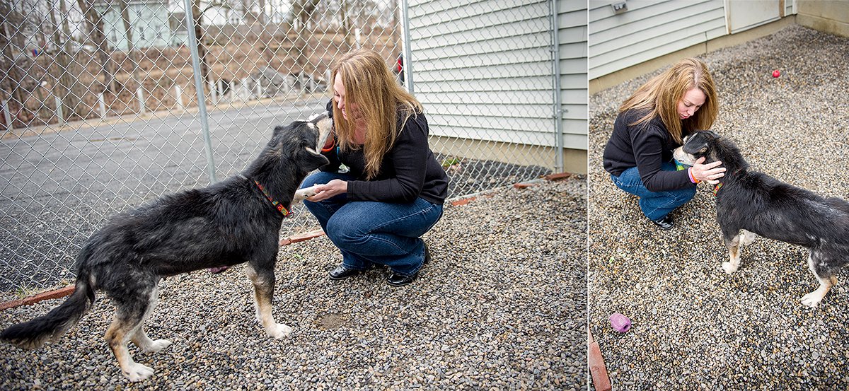 regional animal shelter, dog rescue photo, rescued dog photo, canine skin disease photo