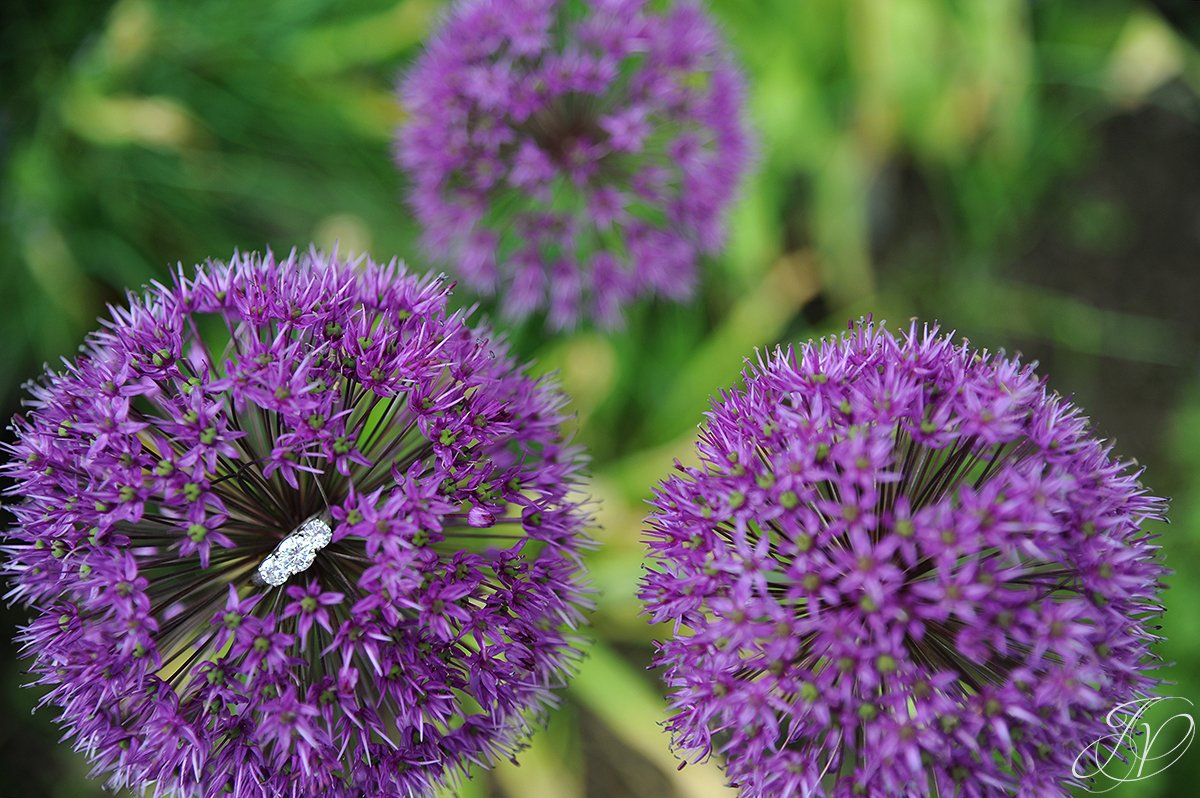 unique wedding rings photo, photo of wedding rings on flowers
