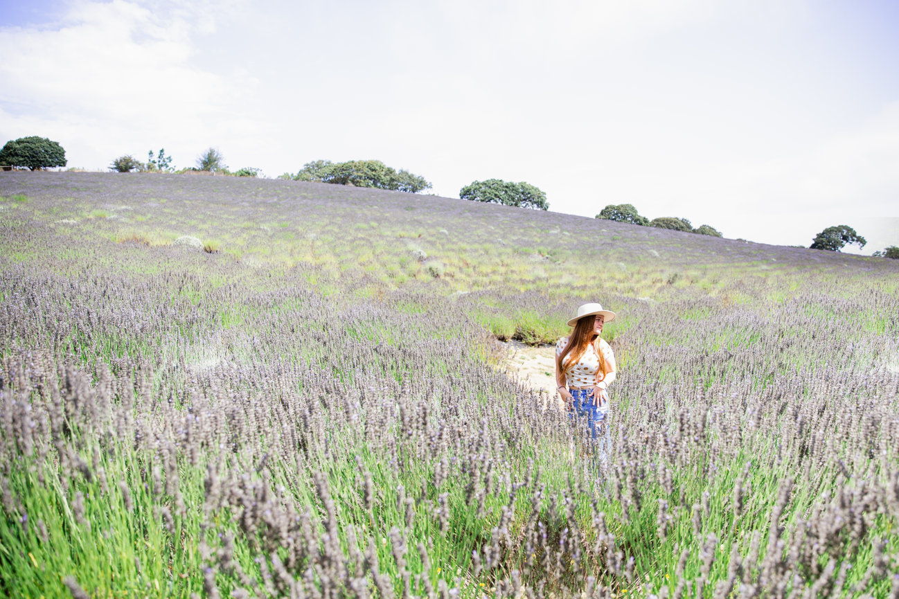 A Stunning Indian-American Wedding at Limerick Lane Cellars in Healdsburg Studio J Portraits