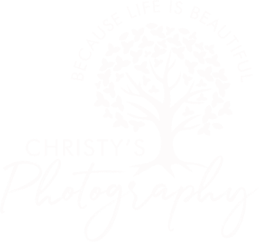 Because Life is Beautiful Photo Logo