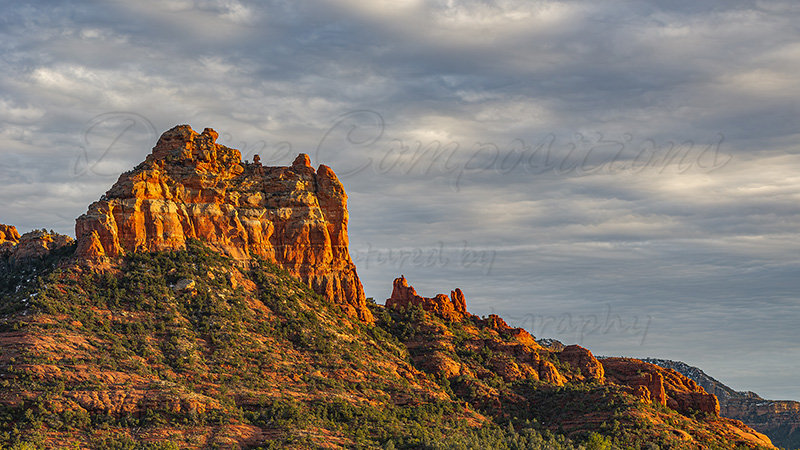 Kaiyah Takota The Final Chapter - A Novel Husky: Chapter 48