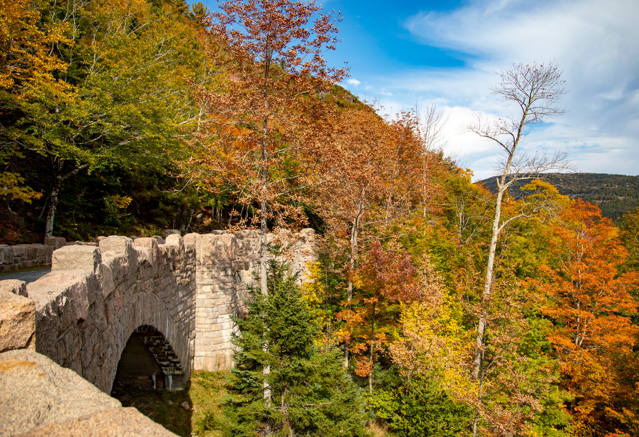 Fall Colors on the Carriage Roads in Acadia National Park