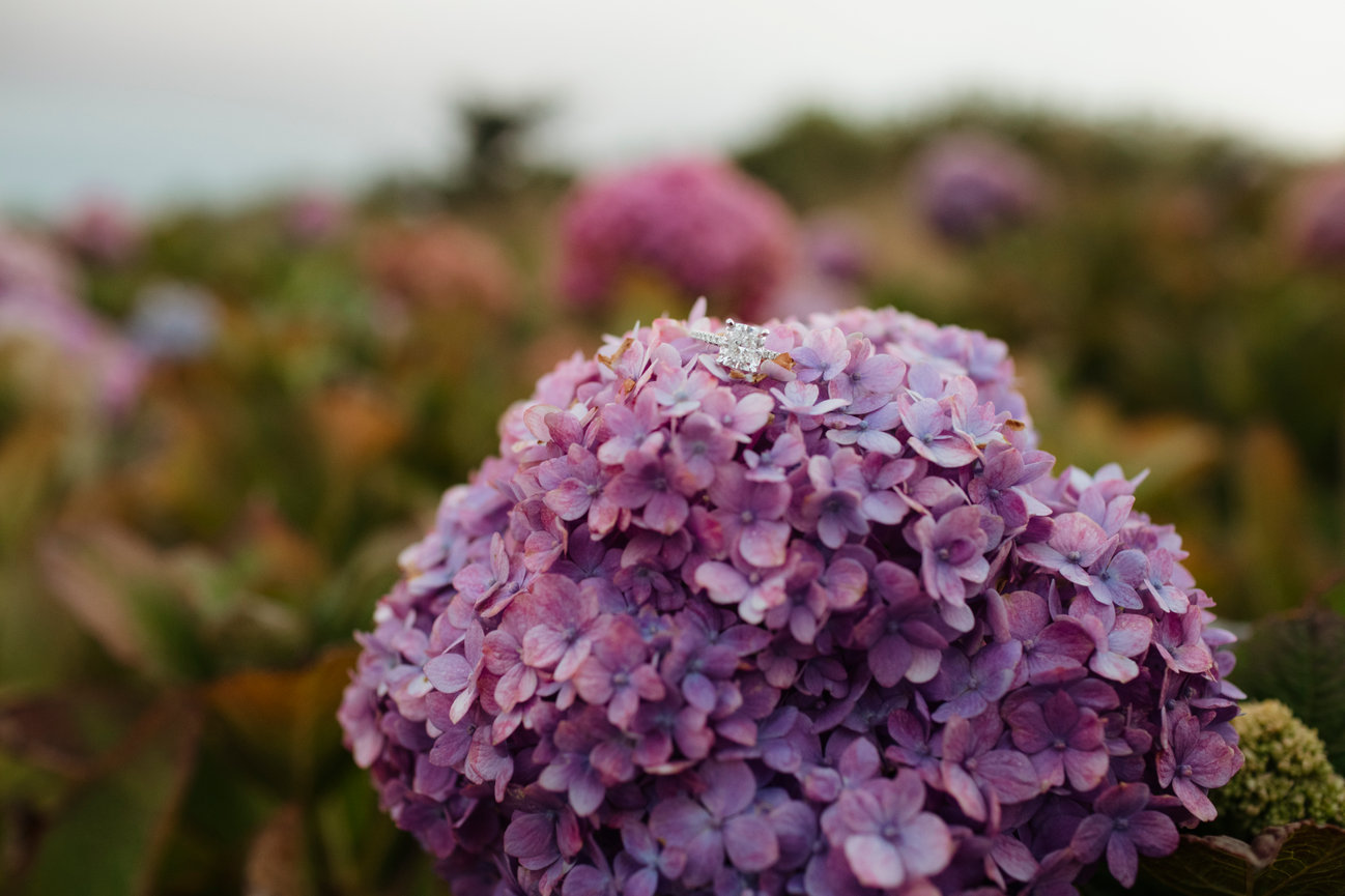 2024 FREE Wedding Photography