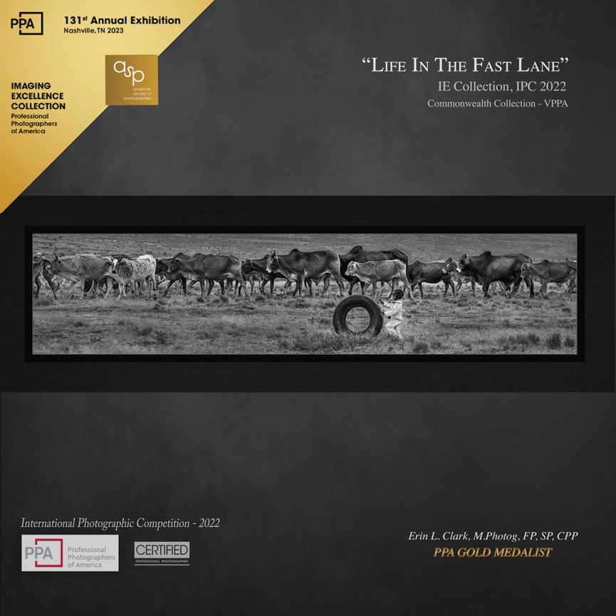 2022 IMAGE EXCELLENCE Award