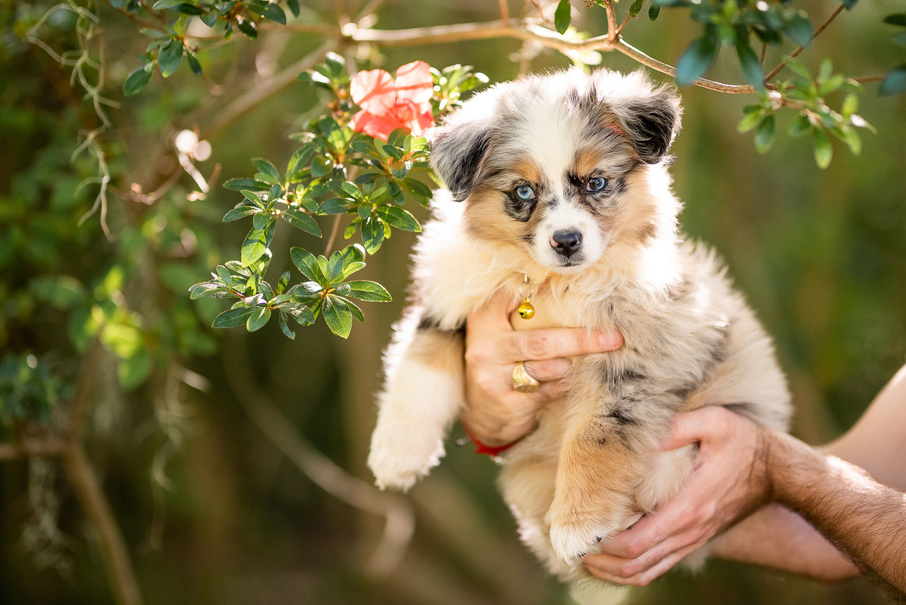 Sophistication in Charleston Senior Portraits, Tharyn
