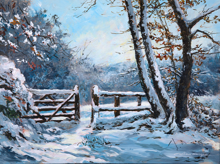 STEP INTO THE SUNSHINE